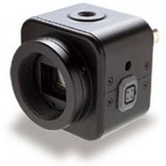 570TVL Watec CCD Camera Module supplier